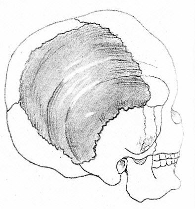 Рисунок 44