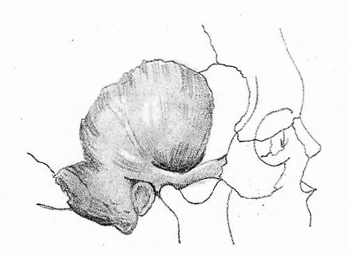 Рисунок 46