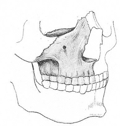 Рисунок 47