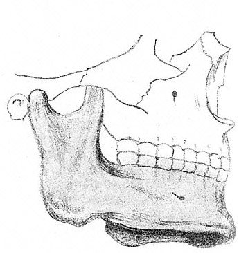 Рисунок 48