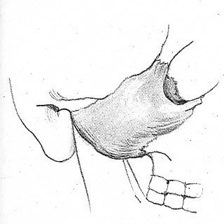 Рисунок 49