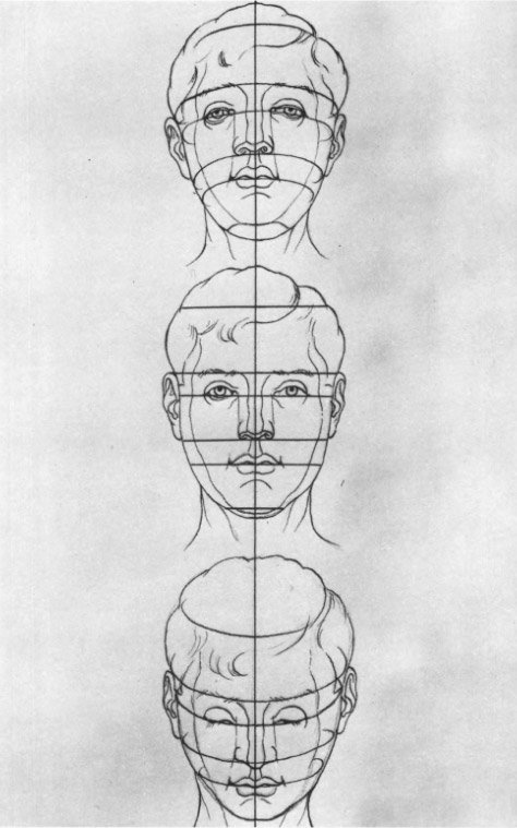 Конструктивные схемы головы в фас