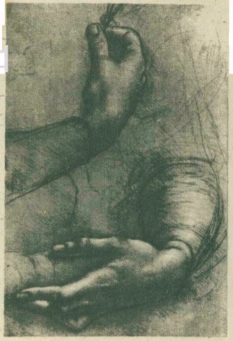 Леонардо да Винчи. Рисунок