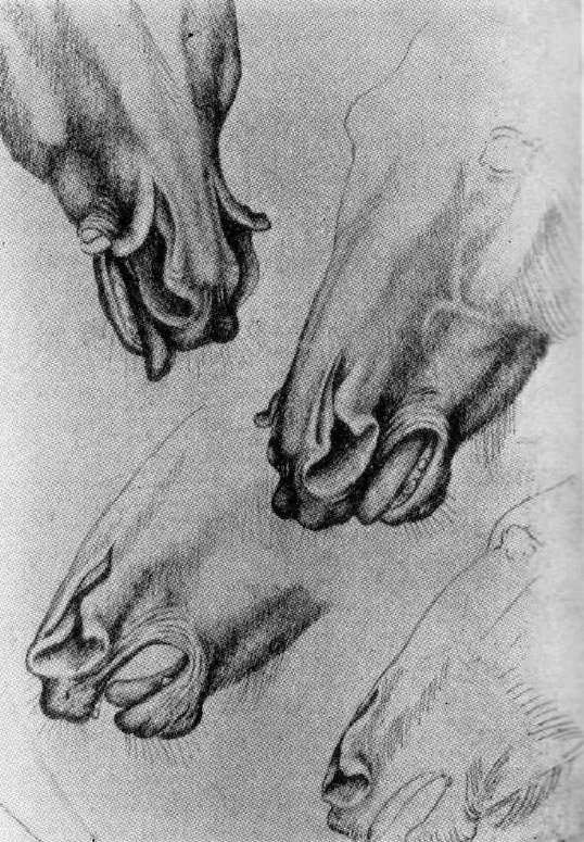 Антонио Пизанелло - четыре зарисовки лошадиной морды