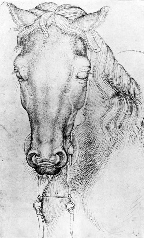 Антонио Пизанелло - голова лошади