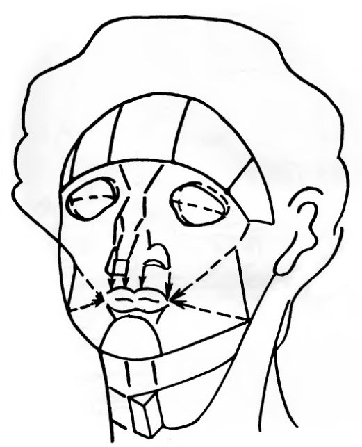 М. М. Курилко - Схема формы головы