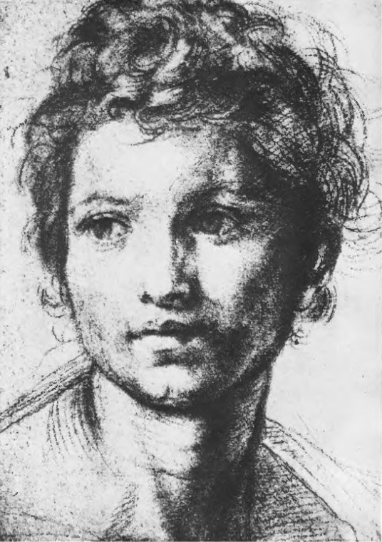 А. Сарто, рисунок головы