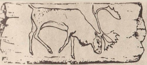 Северный олень из Тайнгена. Рисунок на кости